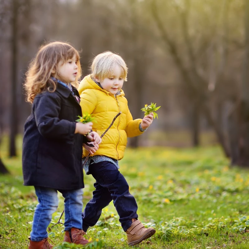 October half-term activities and days out guide